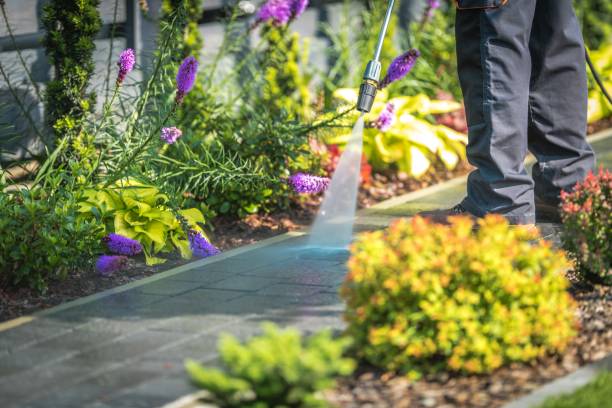 Professional Pressure Washing Services in Lampasas, TX